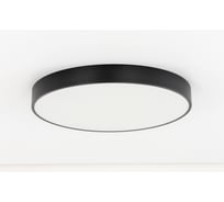Светильник с пультом Citilux Купер LED RGB Чёрный CL72495G1