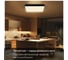 Светильник с пультом Citilux Купер LED RGB Чёрный CL724K105G1 21