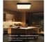 Светильник с пультом Citilux Купер LED RGB Чёрный CL724K70G1 25