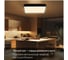 Светильник с пультом Citilux Купер LED RGB Чёрный CL724K95G1 23