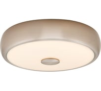 Светильник Citilux Фостер-3 LED с диммером Матовый Хром CL706321