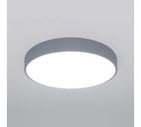 Потолочный светильник Eurosvet серый a062835