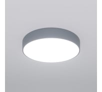 Потолочный светильник Eurosvet 90319/1 серый a062834