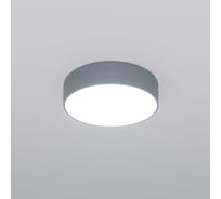 Потолочный светильник Eurosvet 90318/1 серый a062827