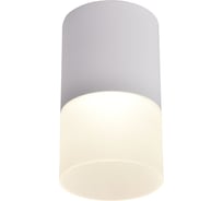 Накладной светильник FAVOURITE naram 3069-1C