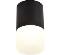 Накладной светильник FAVOURITE naram 3070-1C