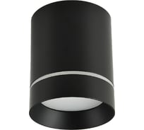 Накладной светильник FAVOURITE darar 3063-1C