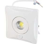 Светодиодный прожектор Uniel ULF-F31-10W/DW SENSOR IP65 100-265В WHITE UL-00000781