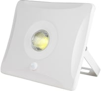 Светодиодный прожектор Uniel ULF-F31-30W/DW SENSOR IP65 100-265В WHITE UL-00000392