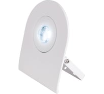 Светодиодный прожектор Uniel ULF-F10-30W/DW IP65 180-240В WHITE UL-00000388