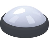 Пылевлагозащищенный светодиодный светильник Uniel ULW-R04-12W/NW IP65 BLACK 11139