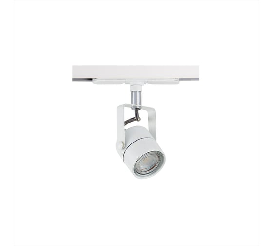 Трековый светильник Citilux Ринг белый CL525T10N 1