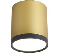 Накладной светильник FAVOURITE baral 3082-1C