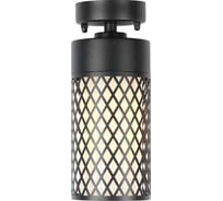 Уличный светильник FAVOURITE barrel 3019-1P