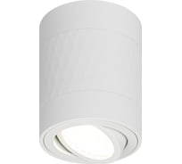 Настенно-потолочный спот ЭРА OL33 WH MR16 GU10 IP20 белый Б0056379