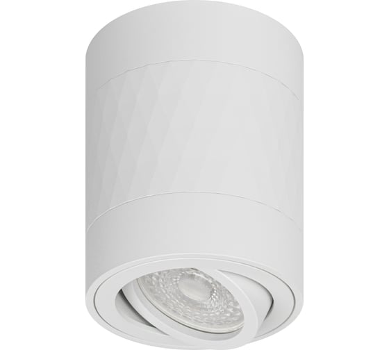 Настенно-потолочный спот ЭРА OL33 WH MR16 GU10 IP20 белый Б0056379