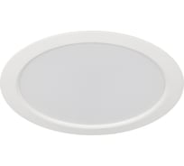 Встраиваемый светодиодный светильник ЭРА LED 17246K круглый 24Вт 6500K Б0057426