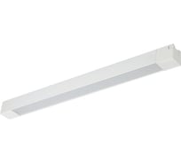 Трековый однофазный светильник ЭРА TR50 2040 WH светодиодный 20Вт 4000К белый Б0054167