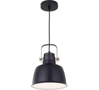 Подвесной светильник Citilux Спенсер CL448113