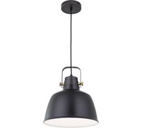 Подвесной светильник Citilux Спенсер CL448213