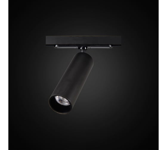 Трековый светильник Citilux Тубус LED Черный CL01T071N