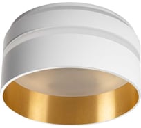 Точечный потолочный светильник KANLUX govik-st dso-w/g 29233