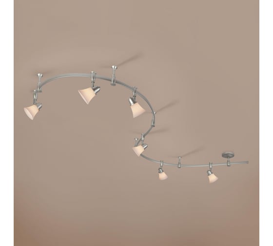 Трековый гибкий светильник Citilux Трек Модерн Серебро CL560261