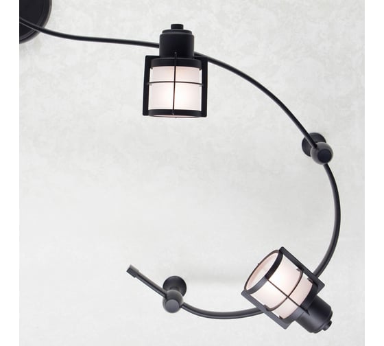 Трековый гибкий светильник Citilux Трек Реймс венге CL563141