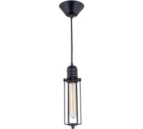 Подвесной светильник Citilux Эдисон Черный CL450202