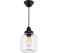 Подвесной светильник Citilux Эдисон Черный CL450206