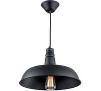 Подвесной светильник Citilux Эдисон Черный CL450204