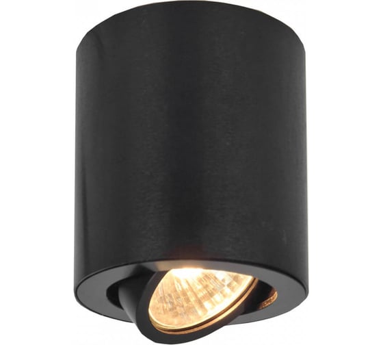 Накладной поворотный светильник Citilux Дюрен Черный CL538113 1