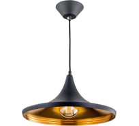 Подвесной светильник Citilux Эдисон Черный Медь CL450210