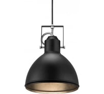 Подвесной светильник Freya серия - 035-1b FR4035PL-01B