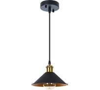 Подвесной светильник ARTE LAMP cappello A7037SP-1BK
