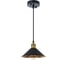 Подвесной светильник ARTE LAMP cappello A7037SP-1BK 1