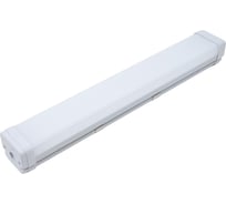 Светодиодный светильник CSVT SLIM-16 TUBE IP67 6500К с проходной проводкой ЦБ000015365
