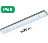 Корпус светильника CSVT ЛПП-АЙСБЕРГ 2хLED T8 1270х152х100 transparent IP65 серый G13 без лампы ЦБ-00010365