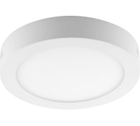 Светодиодный светильник FERON AL504 накладной 18W 6400K белый 27919