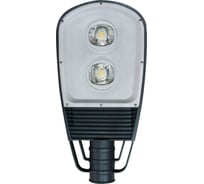 Консольный светодиодный уличный фонарь FERON SP2553 120W 6400K 230V, черный 12181