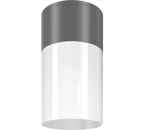 Потолочный светильник MAYTONI willis 1хe27x60w графит O418CL-01GR