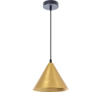 Подвесной светильник ARTE LAMP david A7033SP-1BK