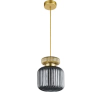 Подвесной светильник ARTE LAMP hamal A6170SP-1GO