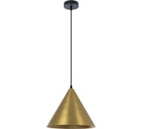 Подвесной светильник ARTE LAMP david A7041SP-1BK