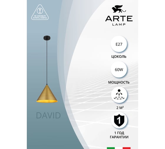 Подвесной светильник ARTE LAMP david A7041SP-1BK
