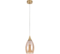 Подвесной светильник ARTE LAMP barry A7951SP-1GO