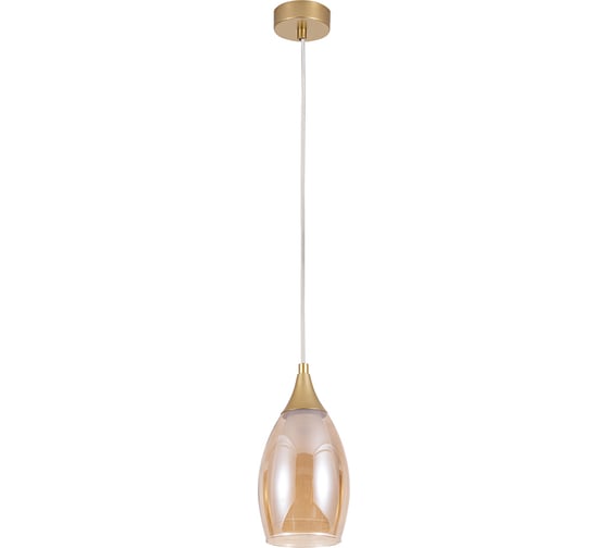 Подвесной светильник ARTE LAMP barry A7951SP-1GO 1