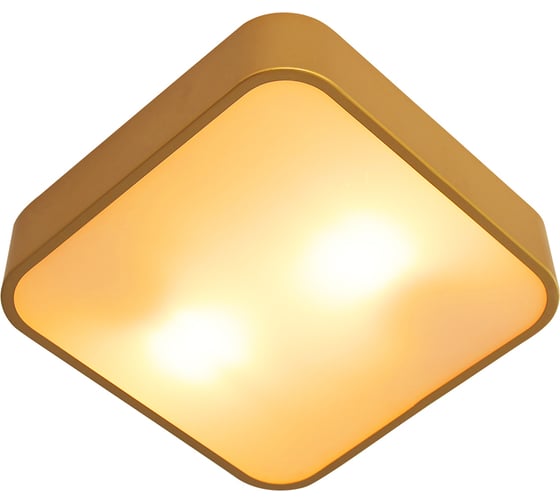 Потолочный светильник ARTE LAMP cosmopolitan A7210PL-2GO