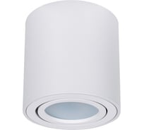 Точечный накладной светильник ARTE LAMP beid A1513PL-1WH