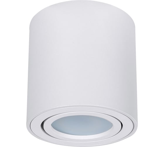 Точечный накладной светильник ARTE LAMP beid A1513PL-1WH 1